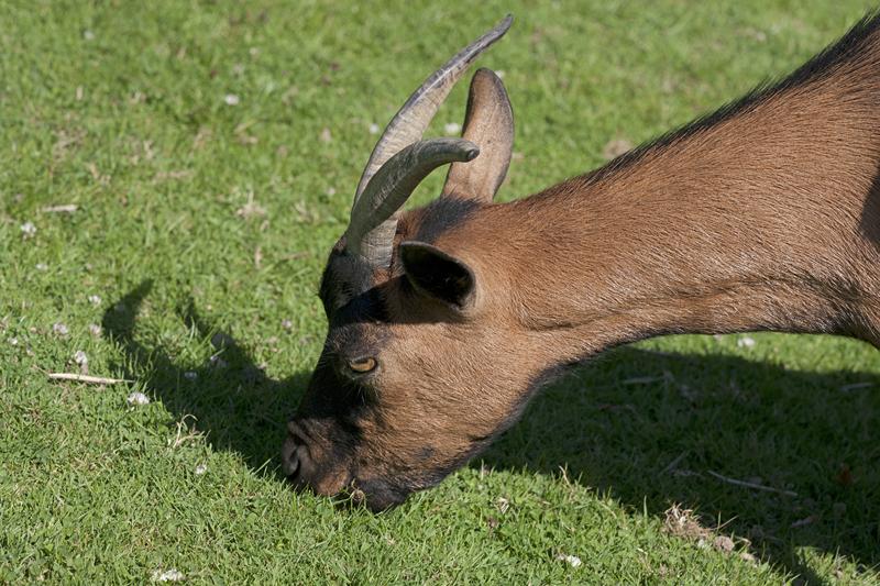 Cjp_2011_08_01_145225 (2).jpg